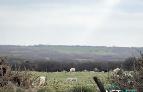 Ty Eithin - Rustic Cottage in St Davids - Foto 22
