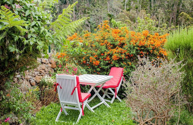 Casas Maravilha - Rvore by Homie - Foto 32