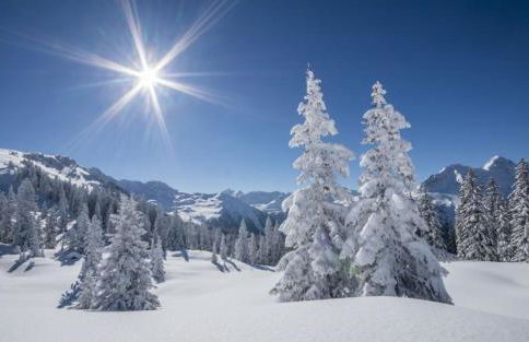 Appartamento Cinzia Residence Solaria Marilleva 1400 - Foto 66