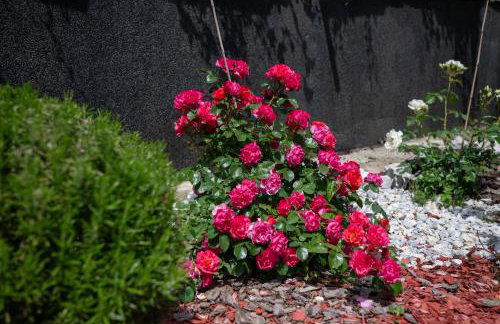 Sweet Dreams Apartment 1 - Foto 48