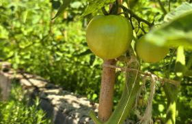 Hotel Rural Valle de Cuaña - Foto 14