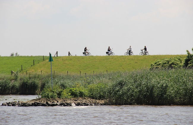 Cozy Vacation Home With Terrace - Photo 38