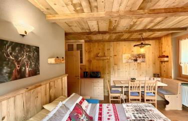 Casa Clus Bormio apartments 3 - Photo 33