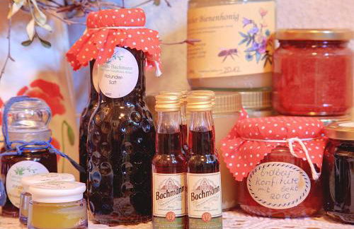 Ferienhof "Alte Försterei" - Foto 26