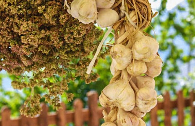 Agriturismo Terrerosse di Massadita - Foto 41