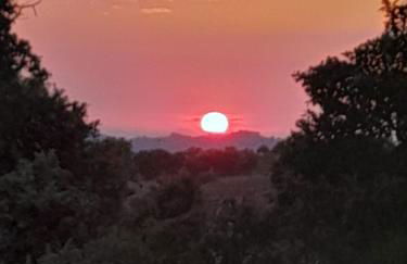 O Recanto do Sobreiro - Foto 18