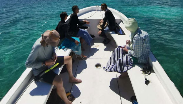 Navigando verso le barriere coralline