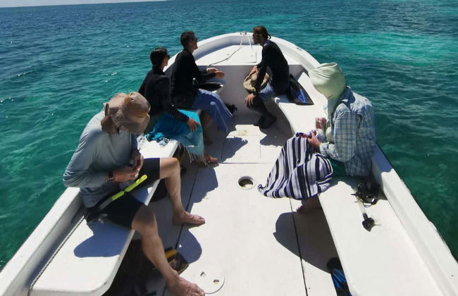 Xcalak Snorkeling Tour - Foto 2