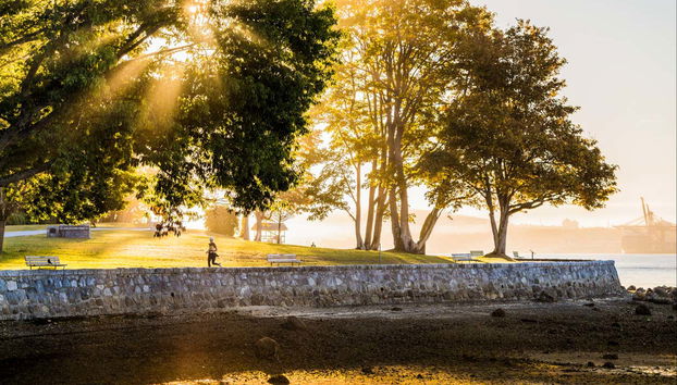 Vancouver Night Tour - Foto 5