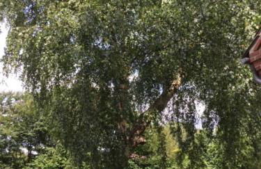 Ferienwohnung Tante Lise - Foto 71