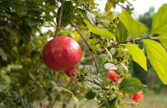 Villa close to the beach - Foto 32