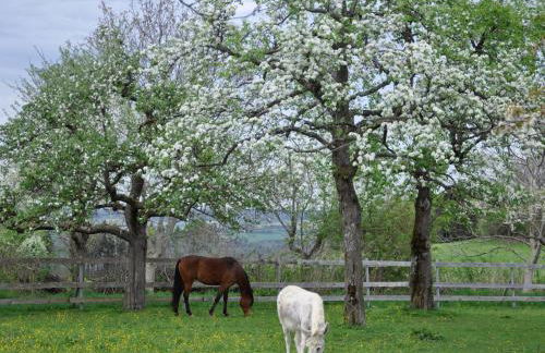 Landhüsli Illmensee - Foto 25