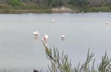 Aloha Sicily - Foto 29