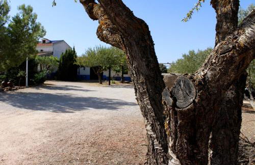 Casas Rurales el Palomar - Foto 37