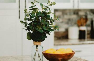 Madre Tierra - Photo 73