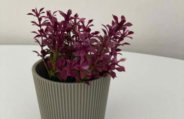 Elia Apartments - Foto 50