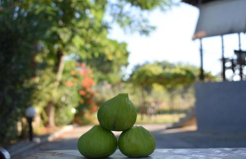 Chliara apartments by Tzalas - Foto 12