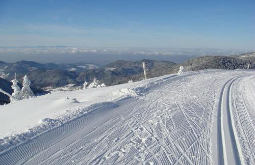 Ferienanlage Freyenhöfe - Foto 28