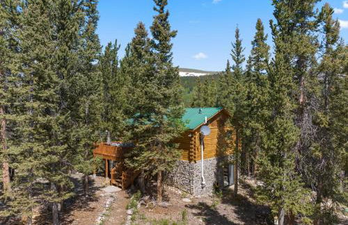 Relaxing Alpine Oasis - Minutes from Breckenridge - Foto 37