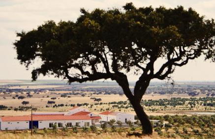 Sesmarias Turismo Rural & SPA - Foto 23