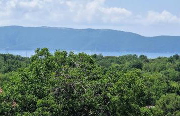 Apartments Pinezić - Foto 7