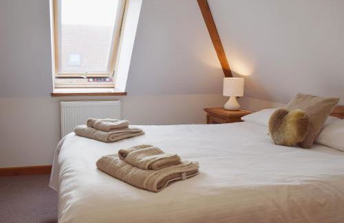 Chive - E4326 - Foto 7