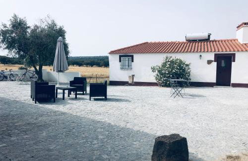 Casas da Faia - Nature Guest House - Foto 66