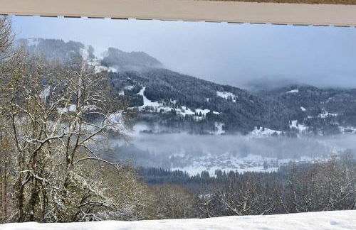 Stylish place-Amazing Views-3 main lifts, Apt design- vue splendide-3 Telecabines - Photo 42