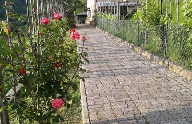 Holiday Home in Tuscany With Scenic Views - Foto 27