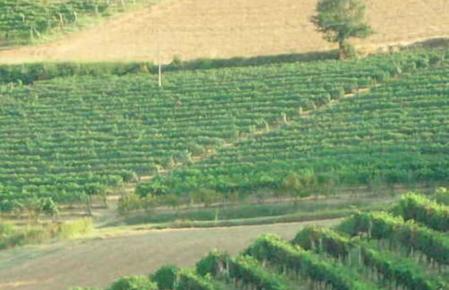 Casa Isabella - Foto 70