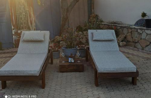 Cactus Home - Foto 25