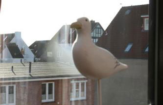 Möwenflug Apartments - Foto 32