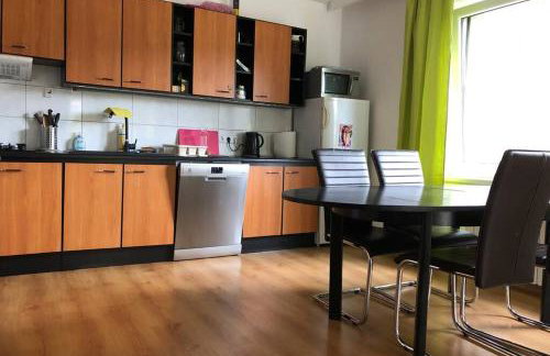 Dom Janosik - Foto 11