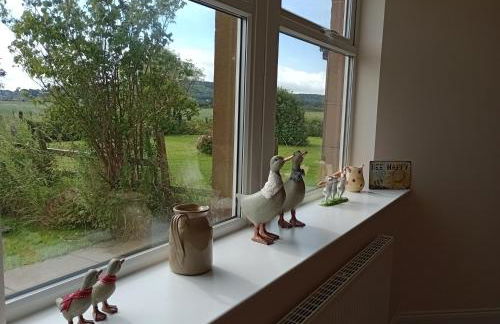 Sunnyside Farm - Foto 12