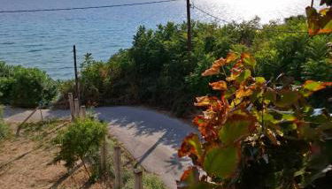 Seafront Lux Apartment - Foto 4