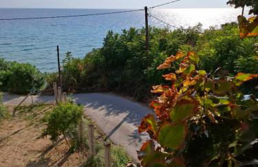 Seafront Lux Apartment - Foto 4