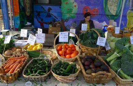 Modern & Open 2BR in Rockridge, Highly Walkable on Oakland Berkeley Border - Foto 50