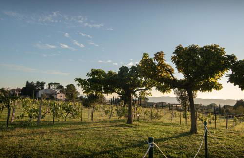 Agriturismo Sasso Rosso - Foto 98