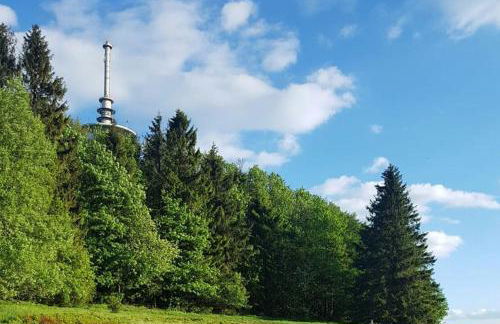 Lenzenhof anno 1720 II - Foto 26