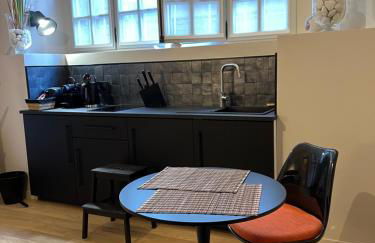 Lucas II Appartement 35 m2 Hôtel Particulier XVII ieme siècle Centre Historique Clermont-Ferrand cathédrale - Foto 2