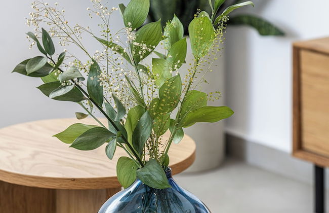 Mate GEORGE - By HOMY - Foto 58