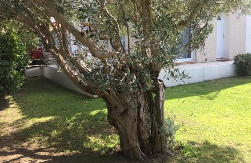 La maison de Virginie 6 a 12 personnes -300 m de la plage- vélos a disposition - Foto 37