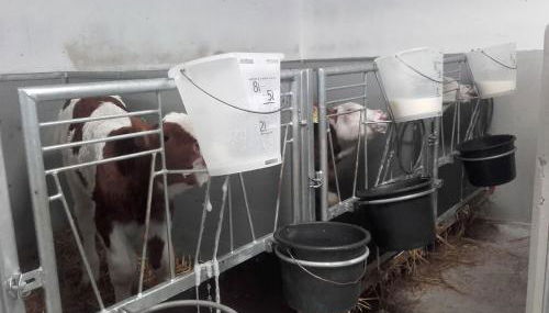 Öderbauer-Hof - Foto 4