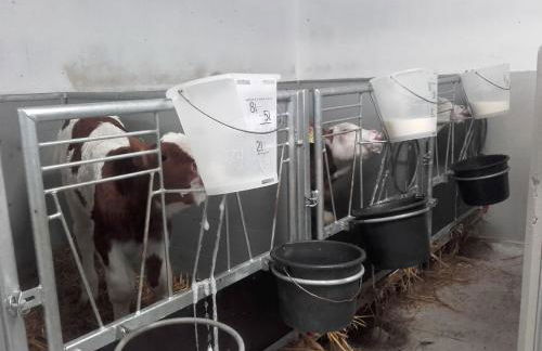 Öderbauer-Hof - Foto 4