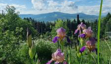 Noclegi u Babci Gieni - Foto 2, Garden, Garden view