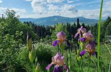 Noclegi u Babci Gieni - Foto 2