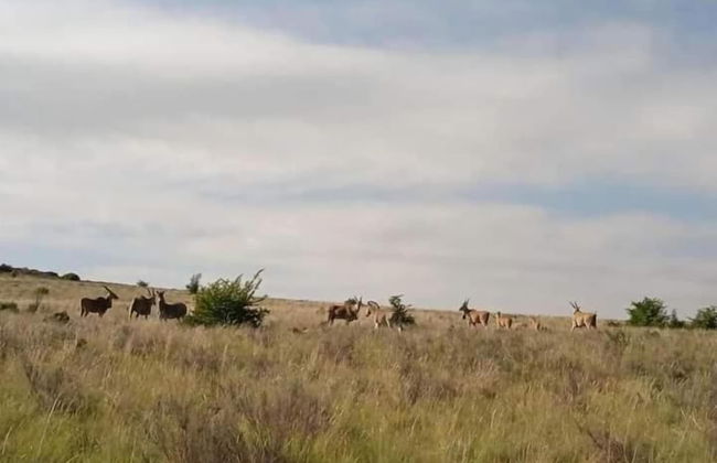 Boschfontein Mountain Lodge - Foto 28