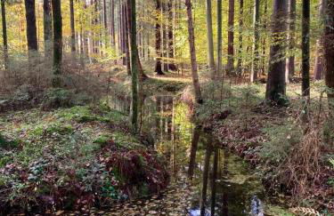 Apartment Vier Jahreszeiten Pilsum - Foto 37