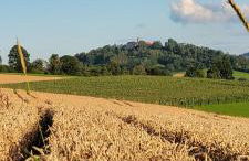 Ferienwohnung Bayerwaldblick - Foto 74