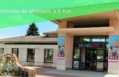 Le Cottage Nature Primeur Clim Gaillac entre Albi-Toulouse & Les Cottages du Tarn - Foto 36